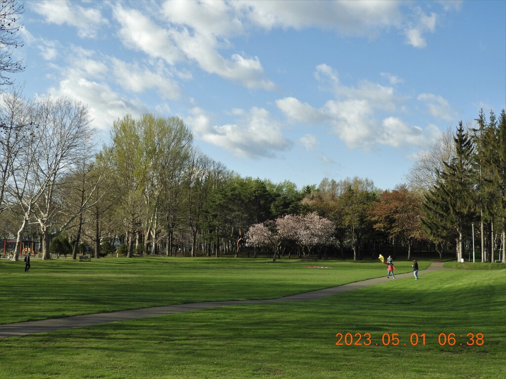 さくらの公園