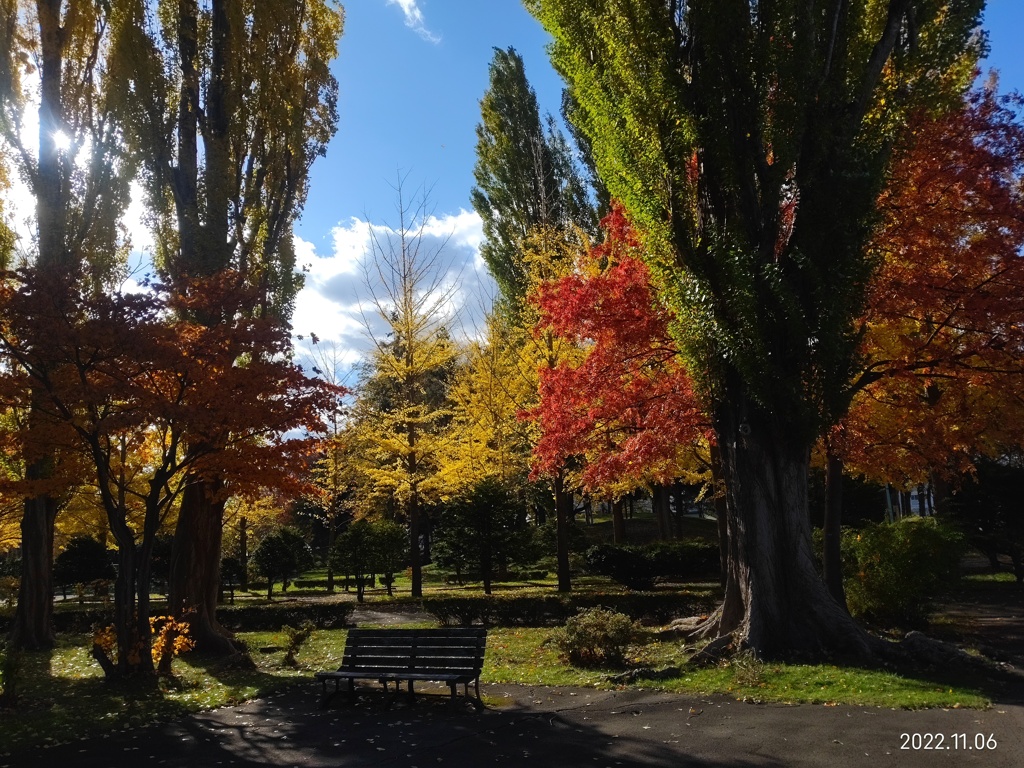 秋の公園