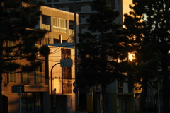 朝日のあたる家
