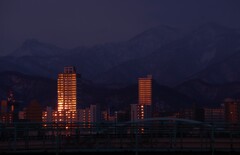 陽を浴びて