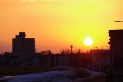 太陽にほえろ