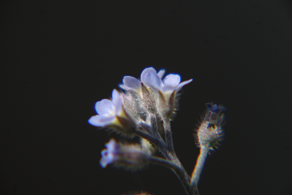 R3054266