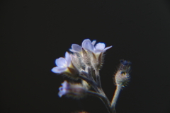 R3054266