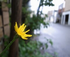 孤独