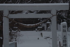 白い鳥居