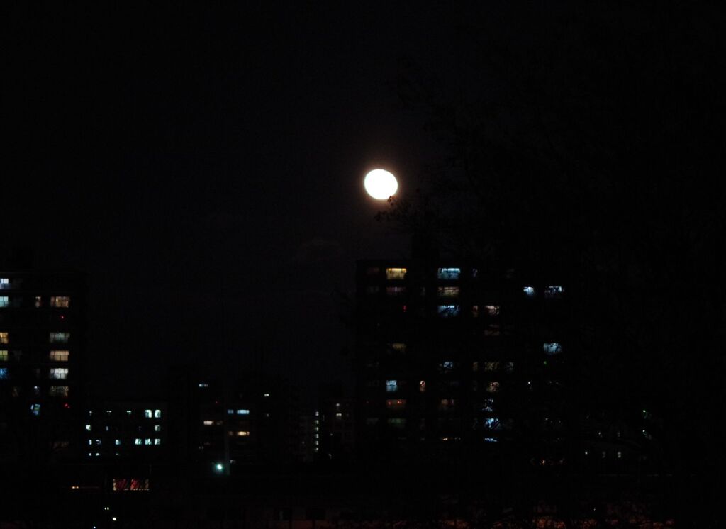 月夜の団欒