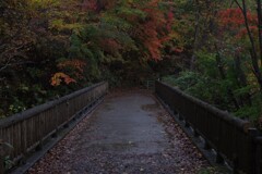 晩秋の橋