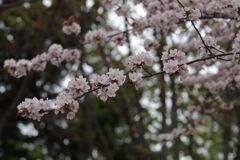 陽を浴びて-2