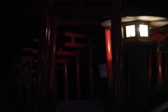 KP夜の鳥居
