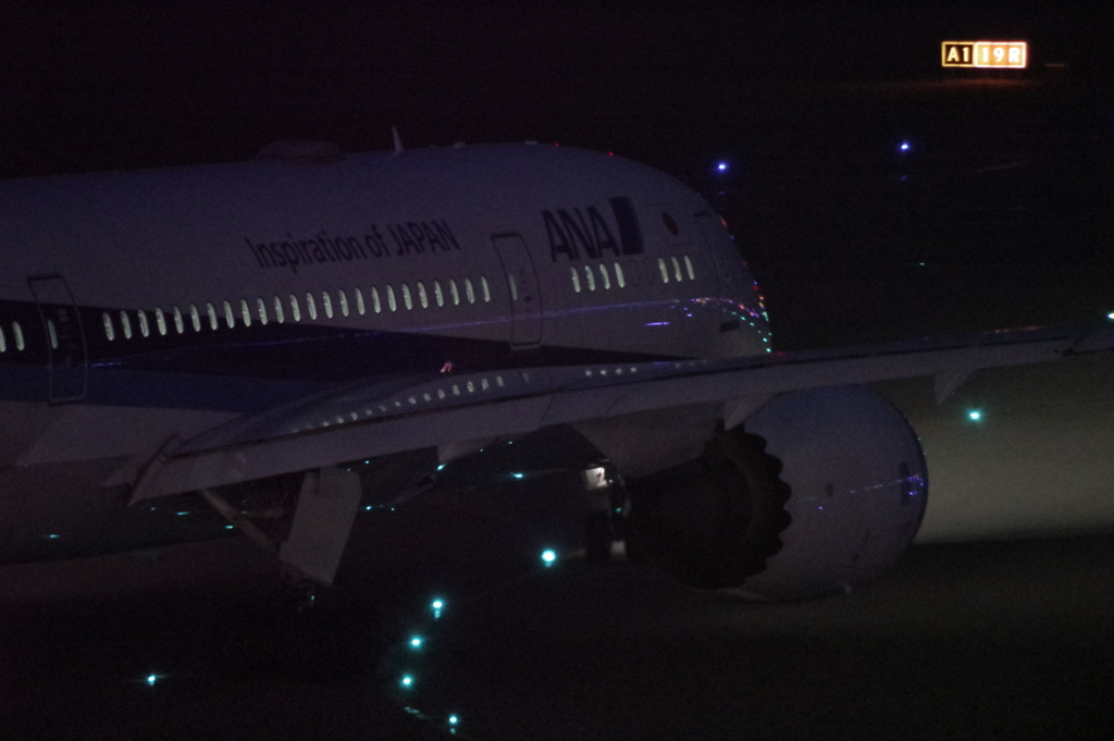 NIGHT FLIGHT-1