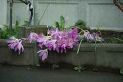 伸びた〜