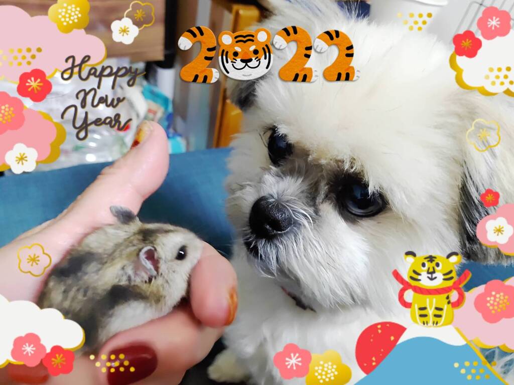 HAPPY NEW YEAR