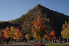 KP五天山公園-2