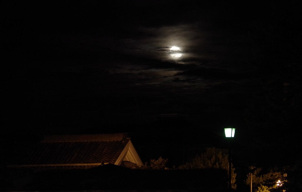 月夜
