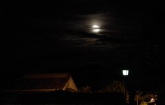 月夜