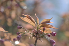 KP__4800
