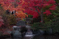 平岡園芸センター