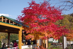 KP五天山公園-3