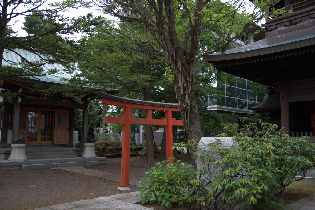 鳥居のある風景
