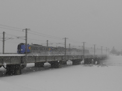 吹雪を走る特急オホーツク