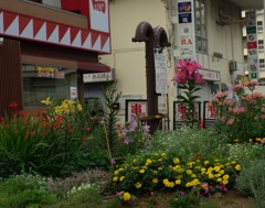 路地