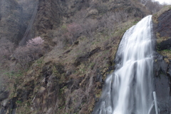 滝と桜