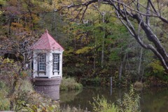 KP秋の西岡公園