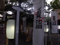 夏神社-2
