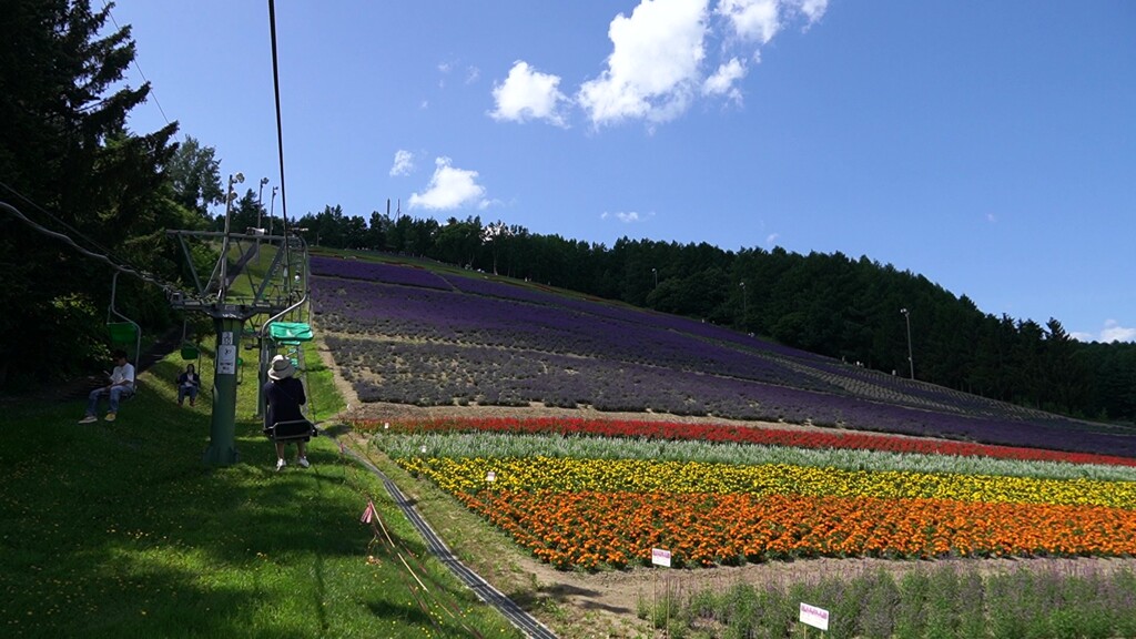 北星山ラベンダー園