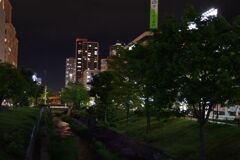 夜のサッポロ