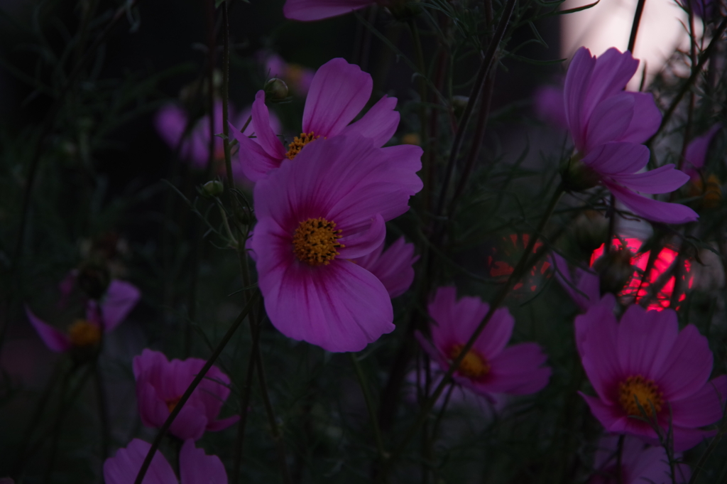 KP__1151