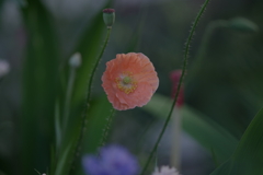 0127