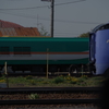 マヤ35 (2)