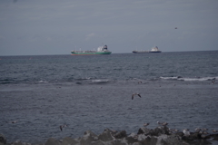 海