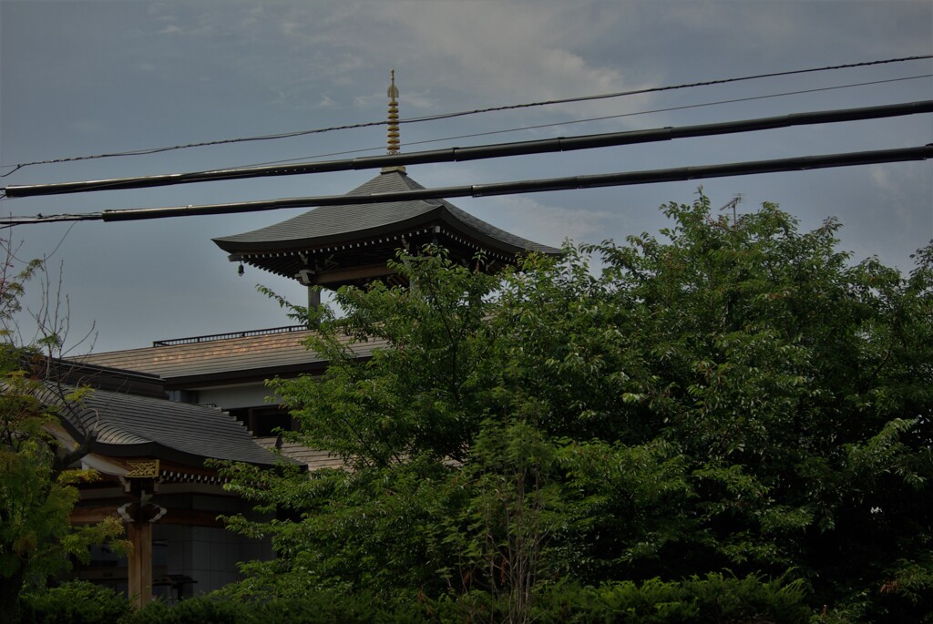 夏のお寺