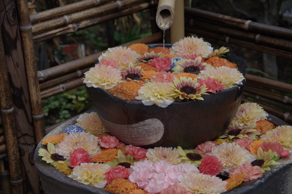 花手水