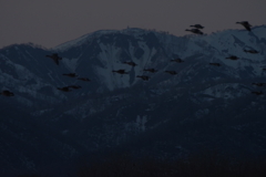 KP山に飛ぶ