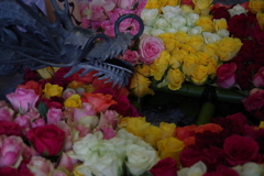 KP薔薇の花手水