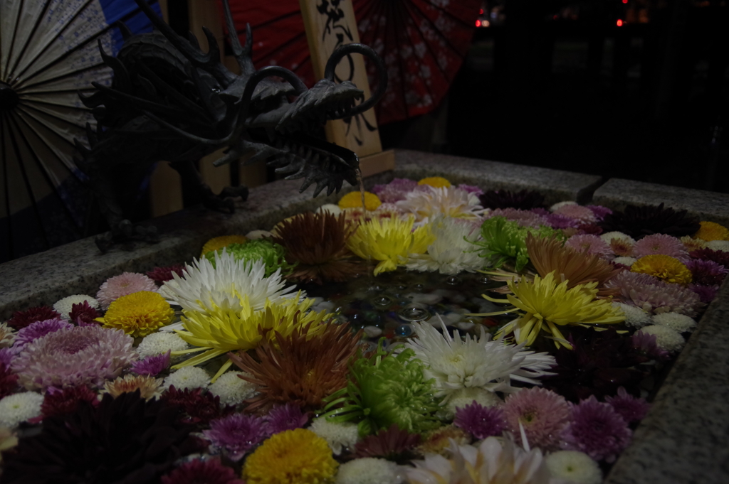 KP花手水