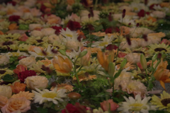 KP花満ちて