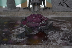 元日の花手水