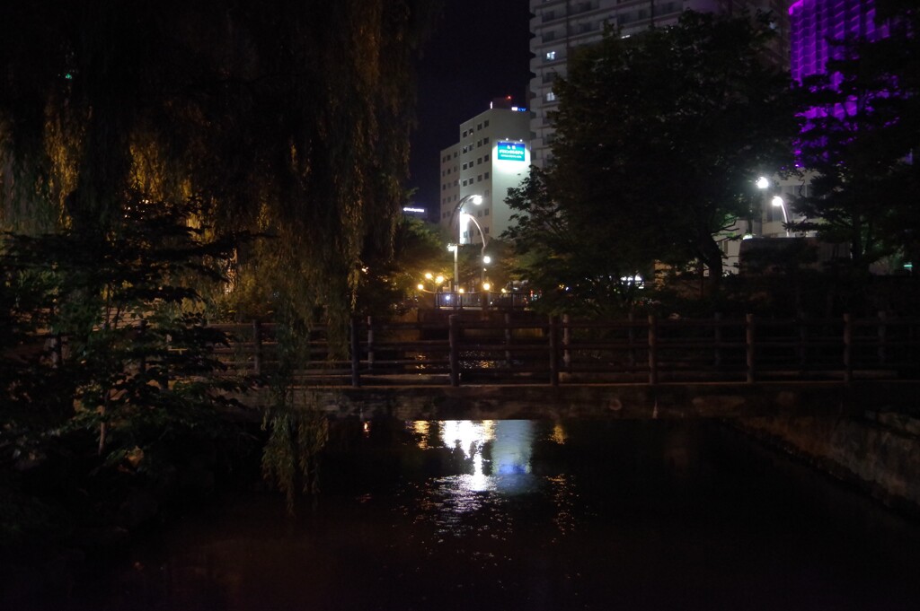 夜の鴨々川-2