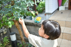 ”何か”がいたかな？