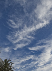 雲