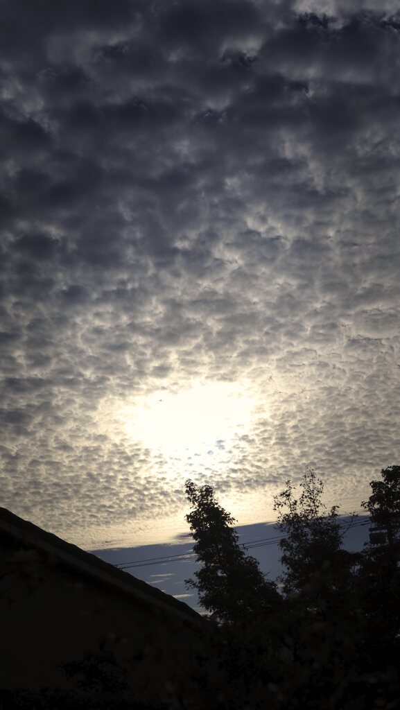 秋の空