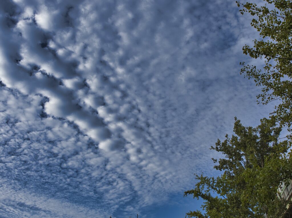 秋の空