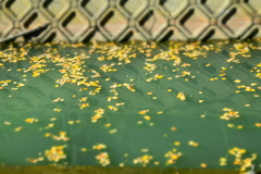 流れる