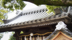 社