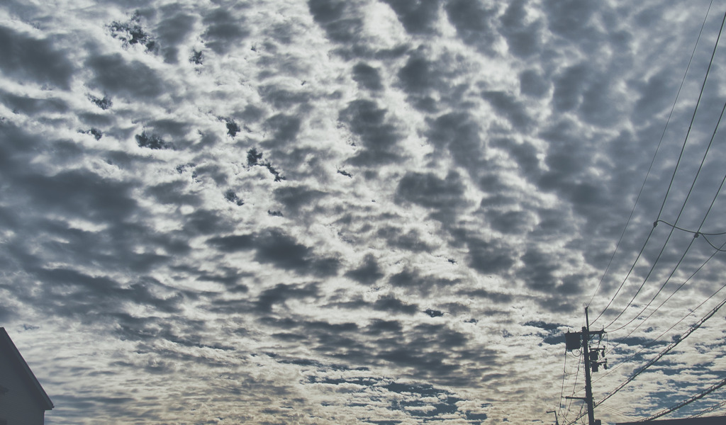 秋の空