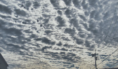 秋の空